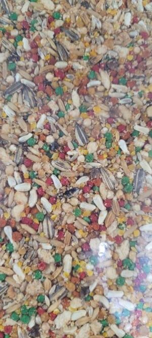 PIXARRO PANETONE E INSETOS 5KG