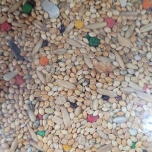 MISTURA P/ PERIQUITO ESPECIAL 5KG