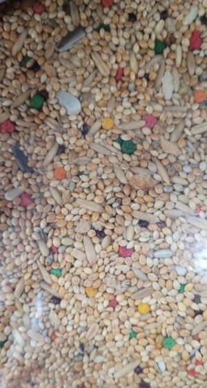 MISTURA P/ PERIQUITO ESPECIAL 5KG