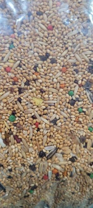 MISTURA P/ CALOPSITA ESPECIAL 5KG