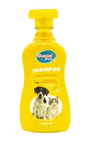 SHAMPOO C/ 1 COLONIA 500ML MELÃO E GUARANÁ